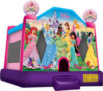 Disney Princess Disney Princess