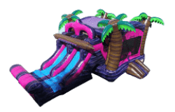 3n1 Dual Lane Pink & Purple Tropical Wave